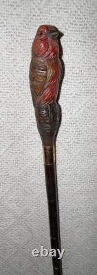 Antique Walking Stick Hand Carved Bird Handle With Glass Eyes Gold Plated Collar