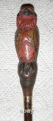 Antique Walking Stick Hand Carved Bird Handle With Glass Eyes Gold Plated Collar