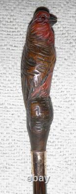 Antique Walking Stick Hand Carved Bird Handle With Glass Eyes Gold Plated Collar