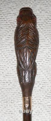 Antique Walking Stick Hand Carved Bird Handle With Glass Eyes Gold Plated Collar