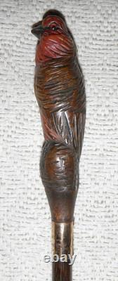 Antique Walking Stick Hand Carved Bird Handle With Glass Eyes Gold Plated Collar