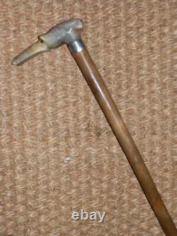 Antique Walking Stick Hand-Carved Bovine Horn Greyhound & Hallmarked 1911 Silver