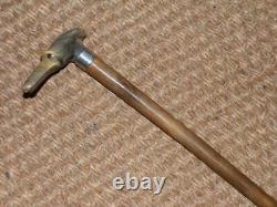 Antique Walking Stick Hand-Carved Bovine Horn Greyhound & Hallmarked 1911 Silver