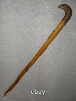 Antique Walking Stick Hand Carved Eagle Head Handle Glass Eyes With Snake On Shaft