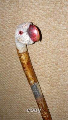 Antique Walking Stick Hand Carved Painted Parrot Handle & Hallmarked 1933 Silver Antique Walking Stick Hand Carved Painted Parrot Handle & Hallmarked 1933 Silver