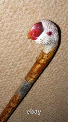 Antique Walking Stick Hand Carved Painted Parrot Handle & Hallmarked 1933 Silver Antique Walking Stick Hand Carved Painted Parrot Handle & Hallmarked 1933 Silver