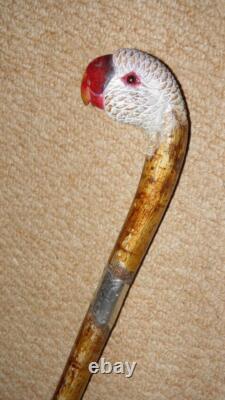 Antique Walking Stick Hand Carved Painted Parrot Handle & Hallmarked 1933 Silver Antique Walking Stick Hand Carved Painted Parrot Handle & Hallmarked 1933 Silver