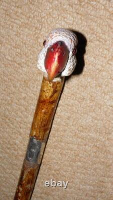 Antique Walking Stick Hand Carved Painted Parrot Handle & Hallmarked 1933 Silver Antique Walking Stick Hand Carved Painted Parrot Handle & Hallmarked 1933 Silver