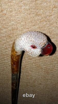 Antique Walking Stick Hand Carved Painted Parrot Handle & Hallmarked 1933 Silver Antique Walking Stick Hand Carved Painted Parrot Handle & Hallmarked 1933 Silver