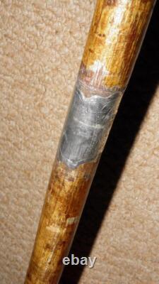 Antique Walking Stick Hand Carved Painted Parrot Handle & Hallmarked 1933 Silver Antique Walking Stick Hand Carved Painted Parrot Handle & Hallmarked 1933 Silver