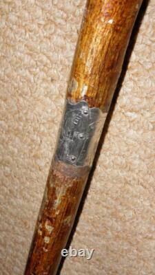 Antique Walking Stick Hand Carved Painted Parrot Handle & Hallmarked 1933 Silver Antique Walking Stick Hand Carved Painted Parrot Handle & Hallmarked 1933 Silver