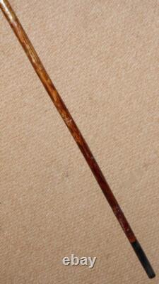 Antique Walking Stick Hand Carved Painted Parrot Handle & Hallmarked 1933 Silver Antique Walking Stick Hand Carved Painted Parrot Handle & Hallmarked 1933 Silver