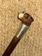 Antique Walking Stick Hand-Carved Terrier Top & Hallmarked 1902 Silver Collar