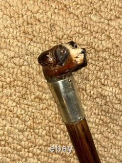Antique Walking Stick Hand-Carved Terrier Top & Hallmarked 1902 Silver Collar