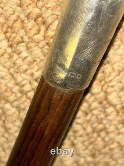 Antique Walking Stick Hand-Carved Terrier Top & Hallmarked 1902 Silver Collar