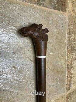 Antique Walking Stick Shillelagh Cane Hand Carved Giraffe Head & Bone Inserts