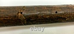 Antique Walking Stick With Carved Wood Dogs Head With Glass Eyes Boxer