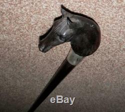 Antique Walking Stick With H/M Silver Collar'1883' & Carved Horse Head Handle