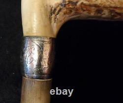 Antique Walking Stick or Cane Handle Carved Stag Horn & Sterling Silver Handle