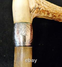 Antique Walking Stick or Cane Handle Carved Stag Horn & Sterling Silver Handle