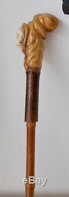 Antique Walking StickCarved Monkey Face in HoodStriking