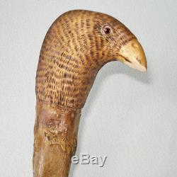 Antique Wood Cane Walking Stick Carved Bird Handle Glass Eyes