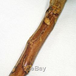 Antique Wood Cane Walking Stick Carved Bird Handle Glass Eyes