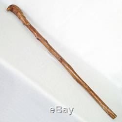 Antique Wood Cane Walking Stick Carved Bird Handle Glass Eyes