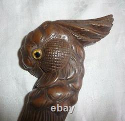 Antique Wood Carved Head Of A Cockatoo With Glass Eyes Walking Stick Cane Handle