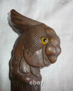 Antique Wood Carved Head Of A Cockatoo With Glass Eyes Walking Stick Cane Handle