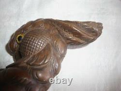 Antique Wood Carved Head Of A Cockatoo With Glass Eyes Walking Stick Cane Handle