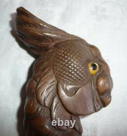 Antique Wood Carved Head Of A Cockatoo With Glass Eyes Walking Stick Cane Handle