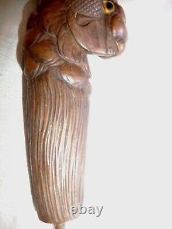 Antique Wood Carved Head Of A Cockatoo With Glass Eyes Walking Stick Cane Handle