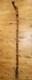 Antique Wooden Truffle Digger Walking Stick with Carved Dog Topper & Trowel Base