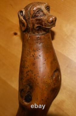 Antique Wooden Truffle Digger Walking Stick with Carved Dog Topper & Trowel Base