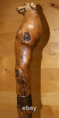 Antique Wooden Truffle Digger Walking Stick with Carved Dog Topper & Trowel Base
