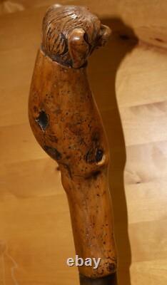 Antique Wooden Truffle Digger Walking Stick with Carved Dog Topper & Trowel Base