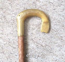 Antique Wooden Walking Cane with Hand Carved Rams Horn Fish Handle