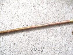 Antique Wooden Walking Cane with Hand Carved Rams Horn Fish Handle