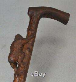 Antique cane walking stick hand carved bear knobby wooden stick original 1800