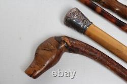 Antique carved unique character dog head figural walking stick 34 87cm c1900