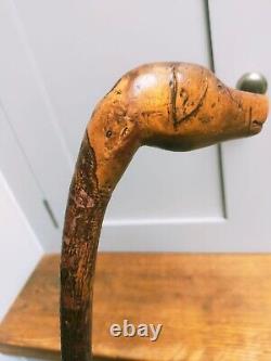 Antique carved unique character dog head figural walking stick 34 87cm c1900