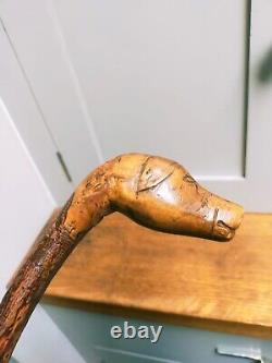 Antique carved unique character dog head figural walking stick 34 87cm c1900