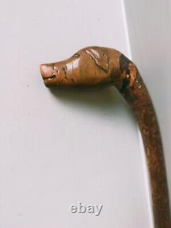 Antique carved unique character dog head figural walking stick 34 87cm c1900