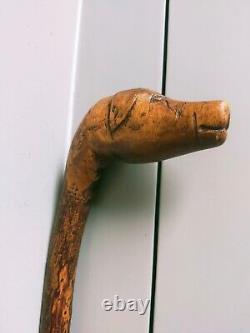 Antique carved unique character dog head figural walking stick 34 87cm c1900