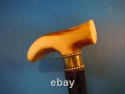 Antique fantastic Carved two bull Dog Head Cane Walking Stick Handle Ca 1900