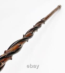 Antique folk art carved walking stick with snakes lizard dated 1911 cane