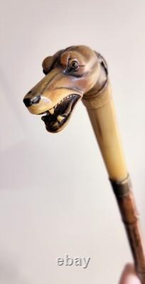 Antique horn carved greyhound handle bamboo walking stick