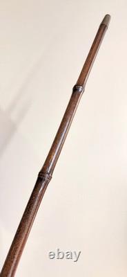 Antique horn carved greyhound handle bamboo walking stick