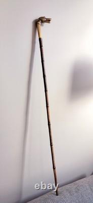 Antique horn carved greyhound handle bamboo walking stick